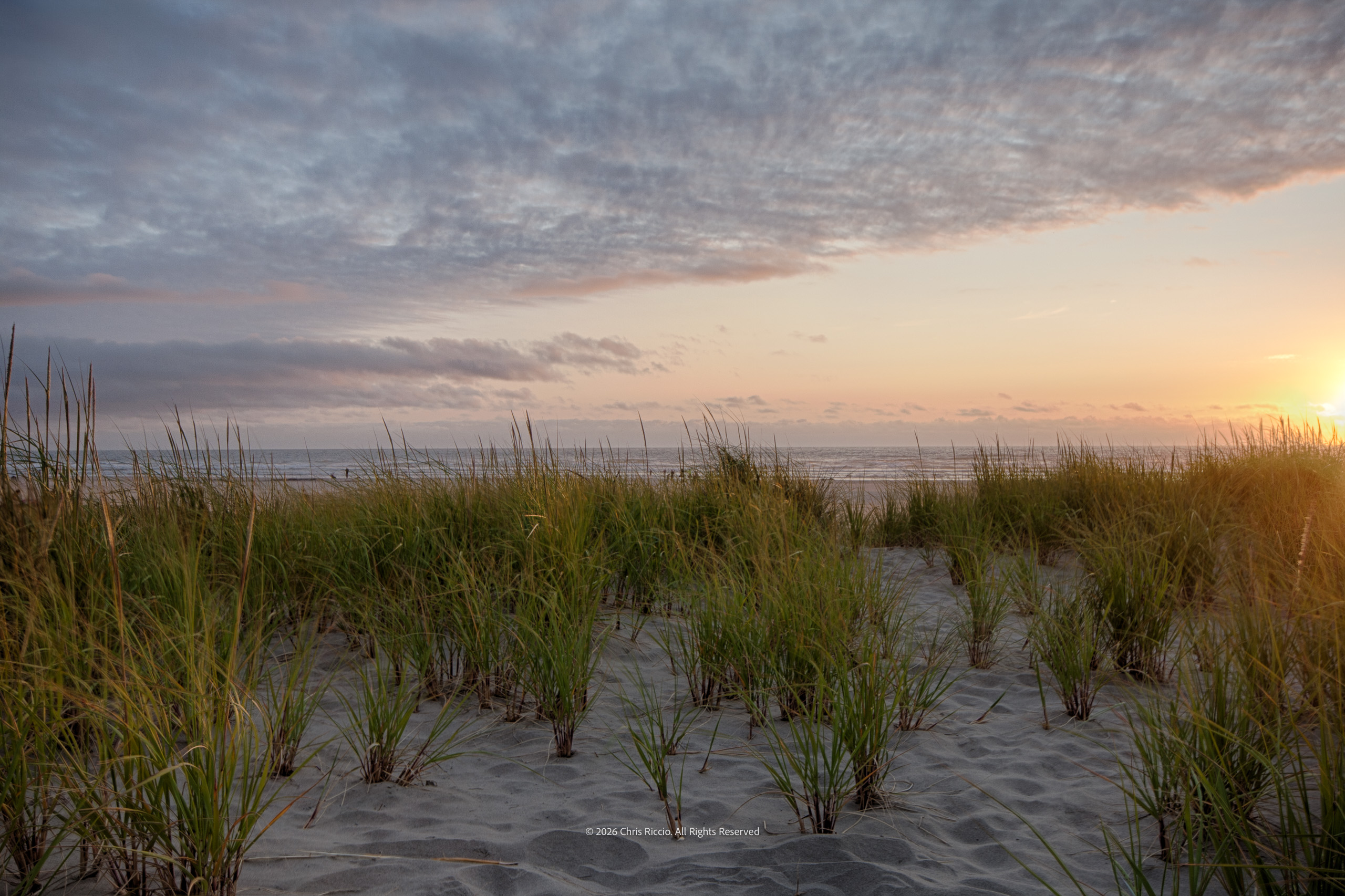 Pacific Coast Sunset